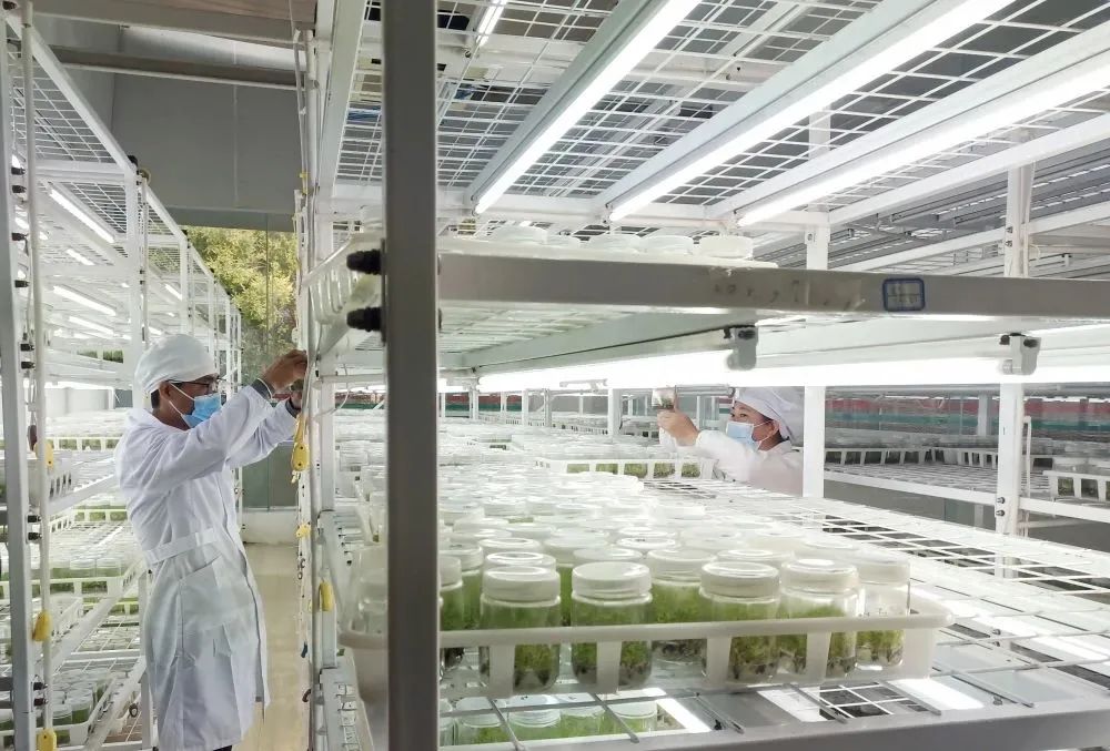 1700459507494433.jpg 微信圖片_20231120135056.jpg