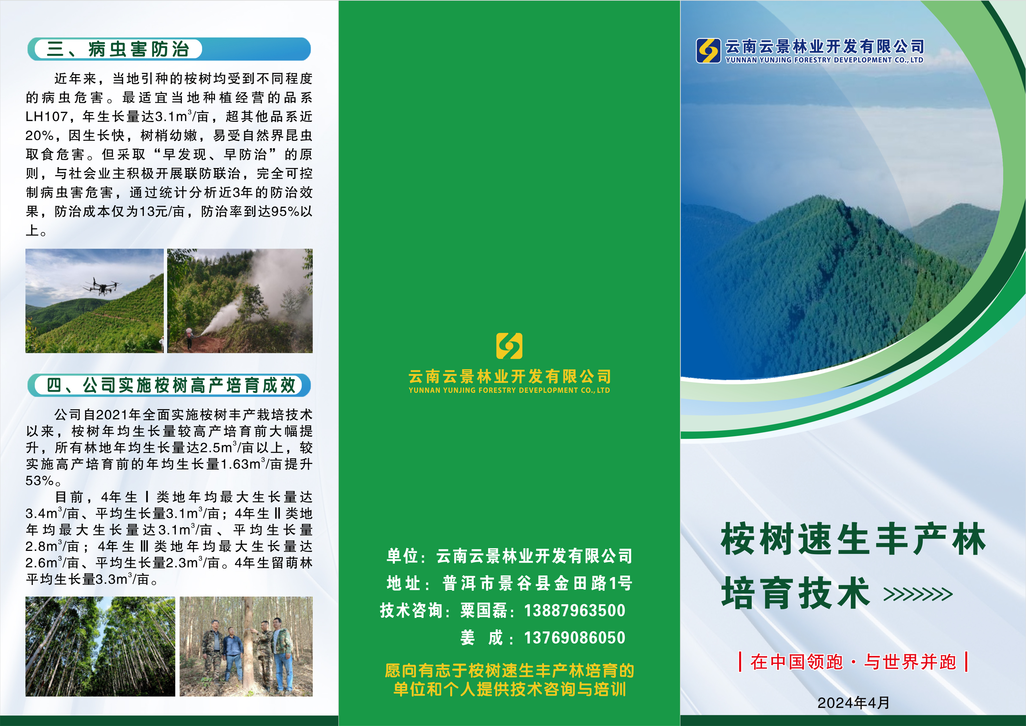景林公司《桉樹(shù)高產(chǎn)培育宣傳冊(cè)》（2024.4.8定稿）-1.jpg