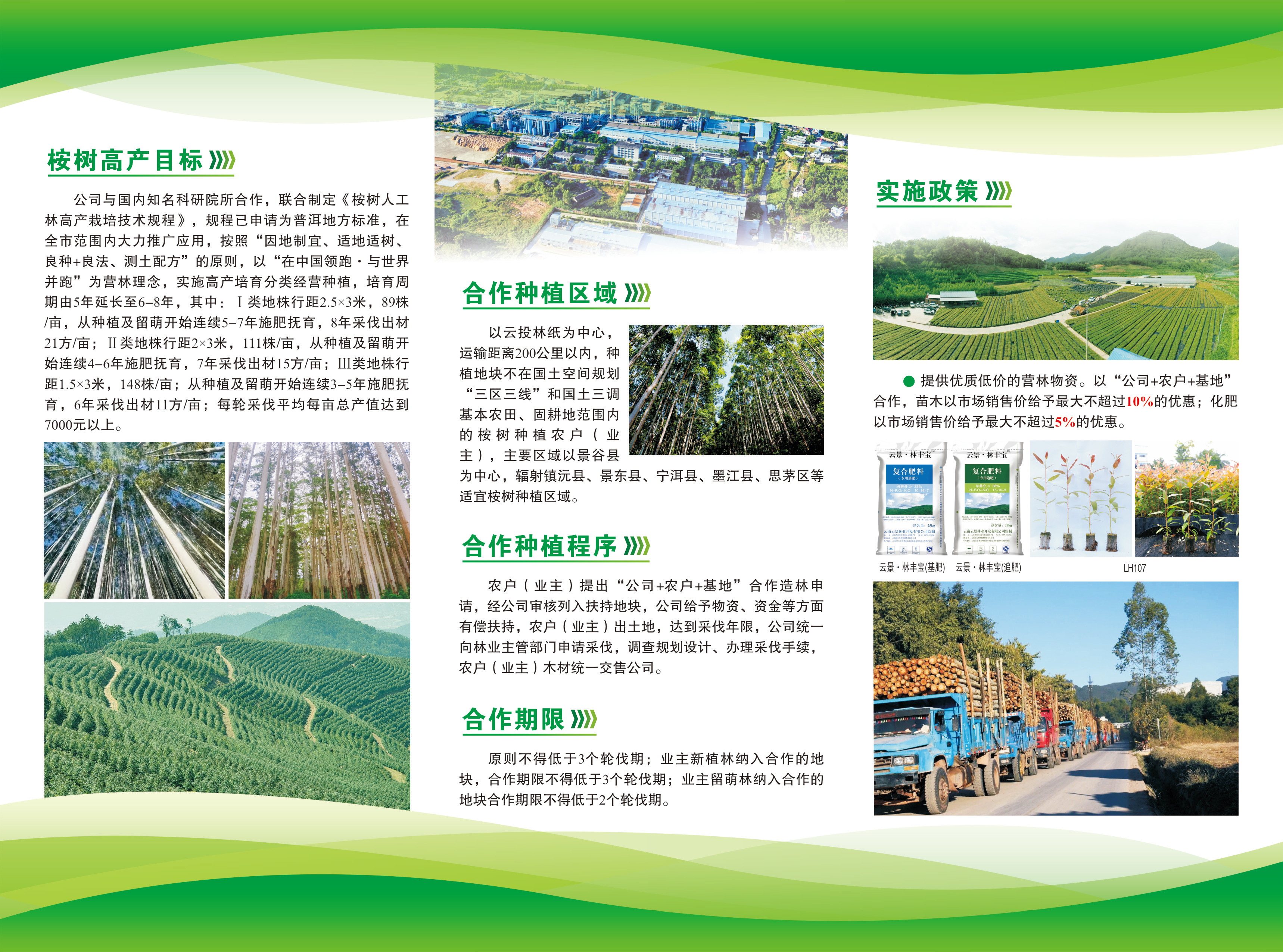 景林公司《合作造林政策宣傳冊》（2024.4.8定稿）-2.jpg