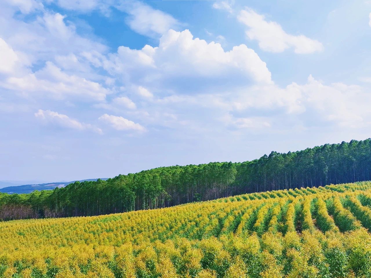 1724743055631483.jpg 微信圖片_20240827151350.jpg