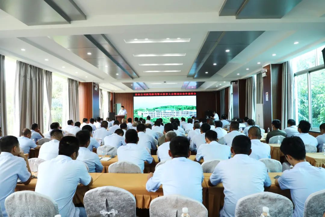 1728518499674890.jpg 640.jpg